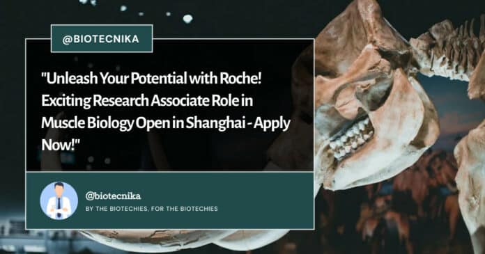 Roche Research Associate Role in Muscle Biology Open in Shanghai - Apply Now!