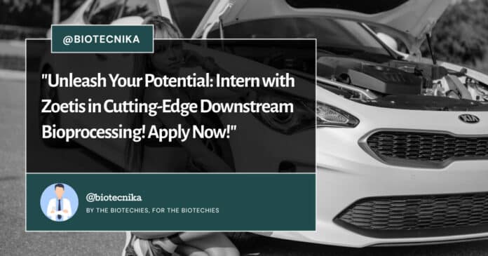 Zoetis Downstream Bioprocessing Summer Intern! Apply Now!
