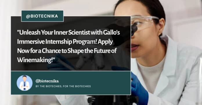 gallo-process-technology-scientist-internship-program-apply-now