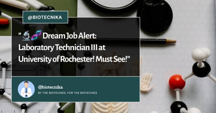 Rochester University Laboratory Technician Job! Apply Now