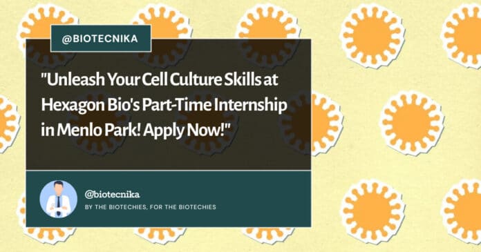 Hexagon Bio Cell Culture Internship! Apply Now!