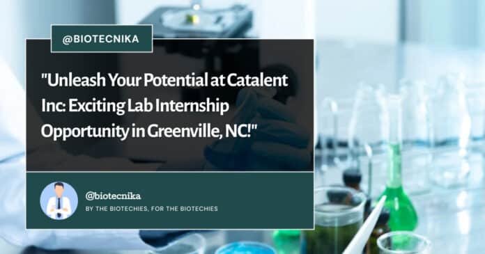 Catalent Inc Lab Internship Opportunity, BS Biotech, Biology Apply Online