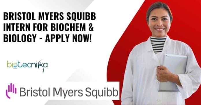 Bristol Myers Squibb Intern