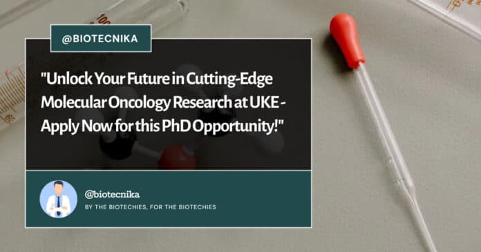 Molecular Oncology Research at UKE - Apply Now for this PhD Opportunity!