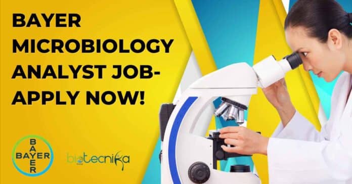 Bayer Microbiology Analyst Job