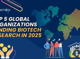 Top 5 Global Organizations Funding Biotech Research in 2025