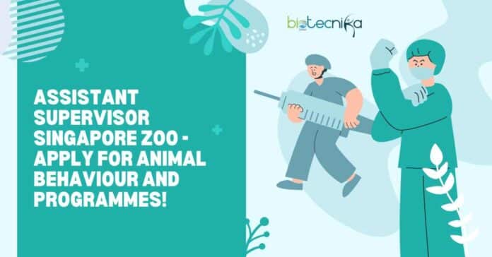 Assistant Supervisor Singapore Zoo