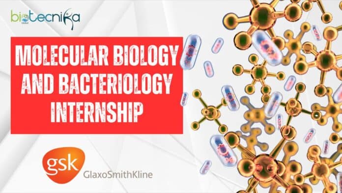 GSK Internship at Italy - Molecular Biology and Bacteriology Internship, Apply Now!