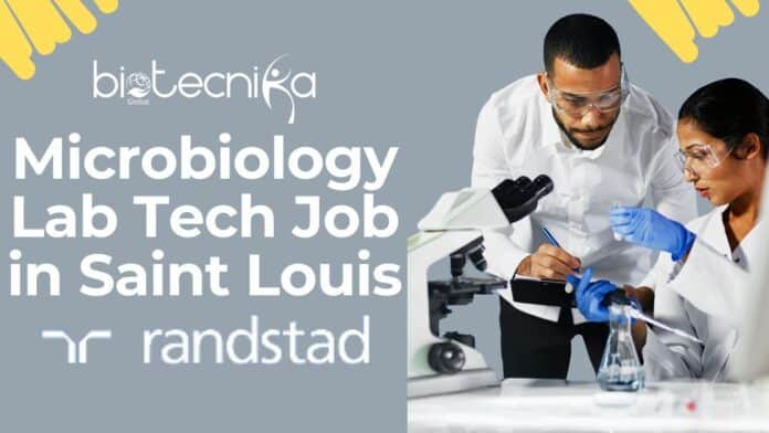 Microbiology Lab Tech Job at Randstad | Apply Today!