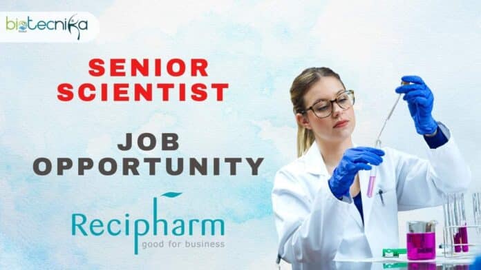 Senior Scientist Job Opportunity