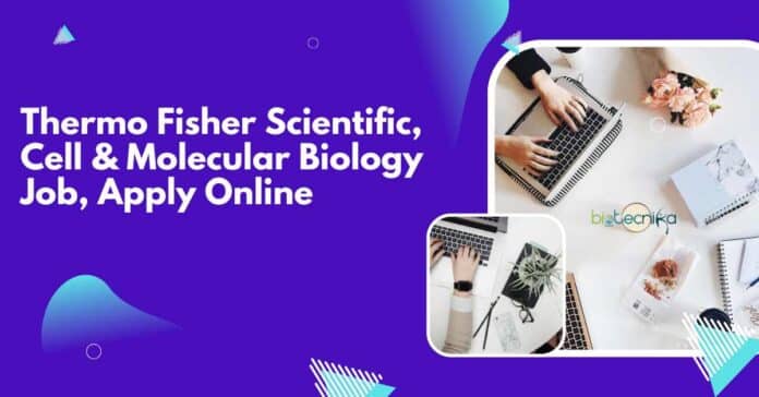 Thermo Fisher Scientific Job