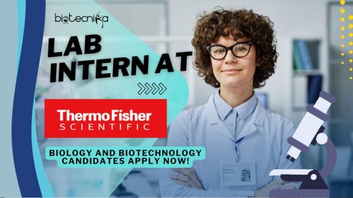 Thermo Fisher Lab Intern II Job