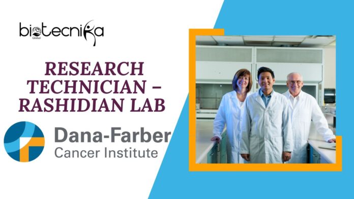 Research Technician – Rashidian Lab at Dana-Farber | Apply Now