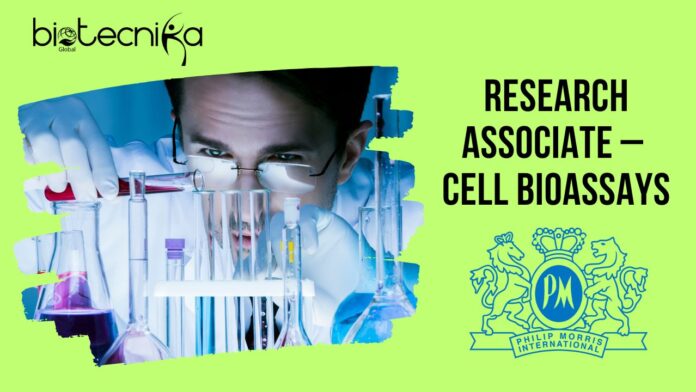 Research Associate – Cell Bioassays Job in Singapore at PMI