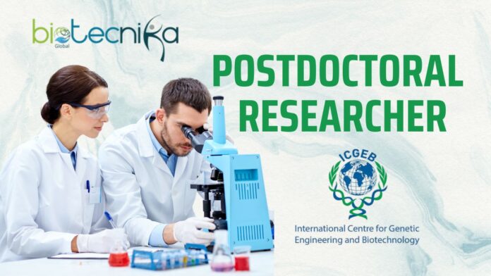 Postdoctoral Researcher Job at ICGEB | Cardiovascular Biology Jobs!