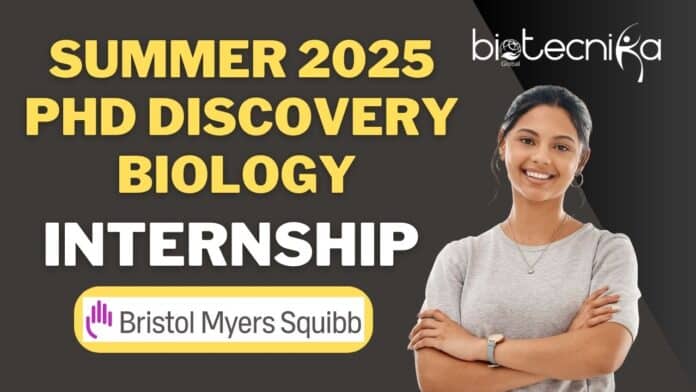 PhD Discovery Biology Internship Bristol Myers Squibb