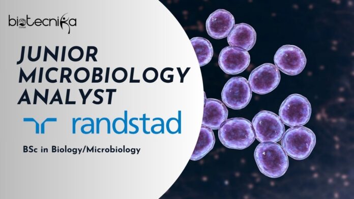 Randstad USA Junior Microbiology Analyst -BSc in BiologyMicrobiology
