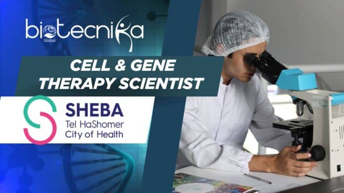 Cell & Gene Therapy Scientist Job at Sheba Medical Center