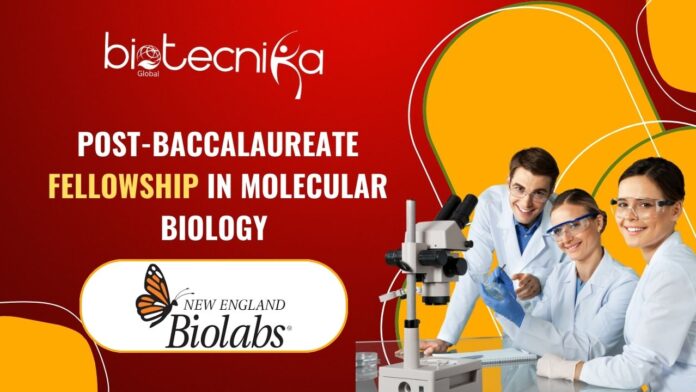 Post-Baccalaureate Fellowship in Molecular Biology