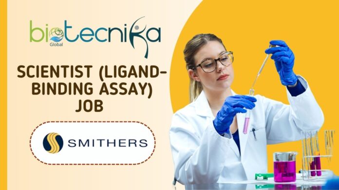Scientist (Ligand-Binding Assay) Job at Smithers