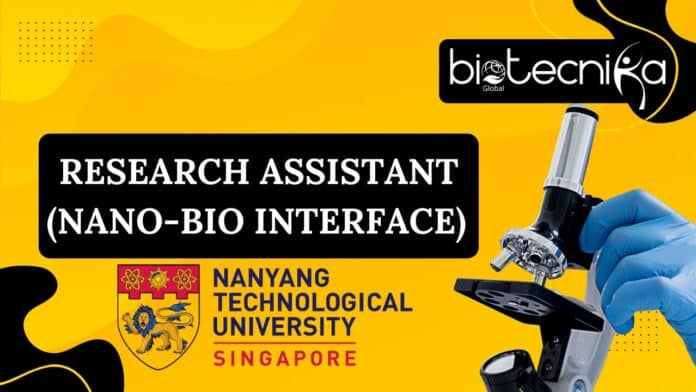 Research Assistant (Nano-Bio Interface) – NTU Singapore