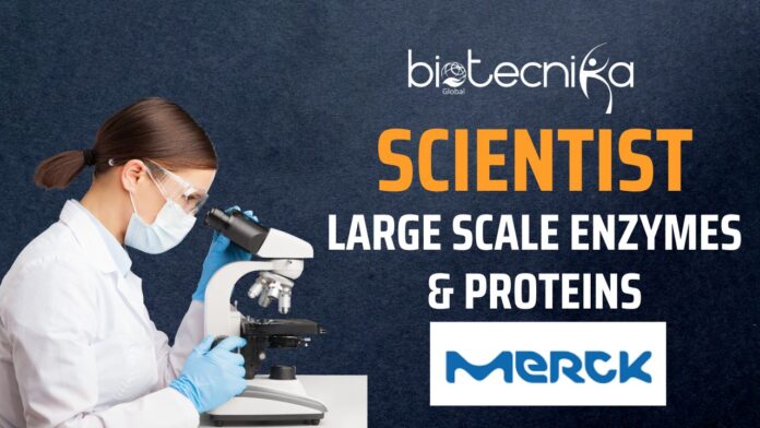 Scientist – Large Scale Enzymes & Proteins | MilliporeSigma | Apply Now!