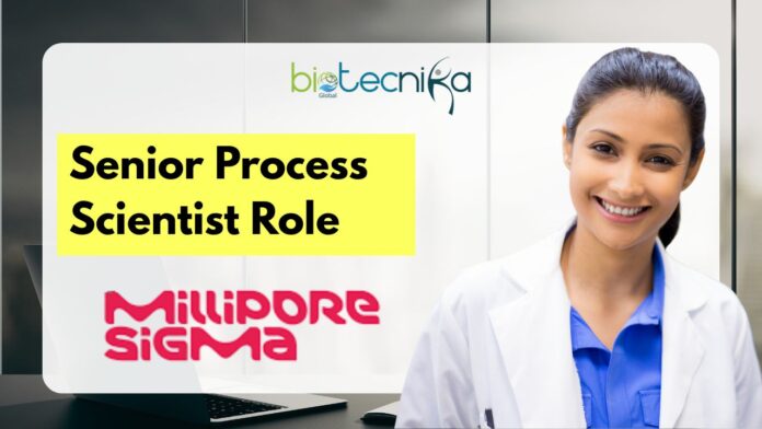 Senior Process Scientist Role