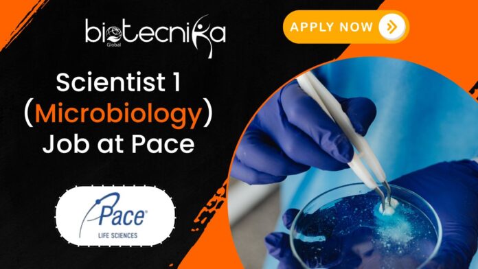 Scientist 1 (Microbiology) Job at Pace