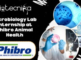 Microbiology Lab Internship at Phibro Animal Health