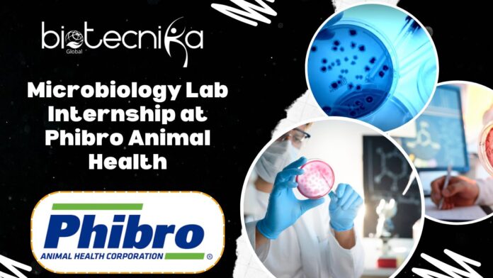 Microbiology Lab Internship at Phibro Animal Health