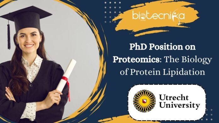 PhD in Proteomics: Study Protein Lipidation at Utrecht