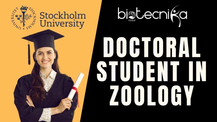 Doctoral Student in Zoology at Stockholm University – Apply Now