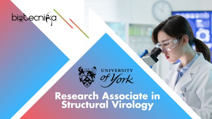 Research Associate in Structural Virology – York Biology Dept! Apply Now 