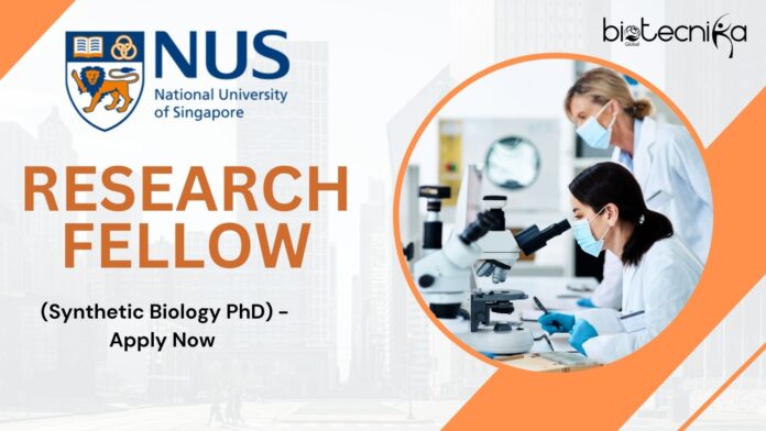 _- Research Fellow (Synthetic Biology PhD) - Apply Now