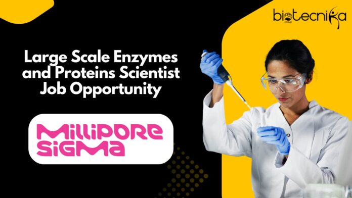 Large Scale Enzymes and Proteins Scientist Job Opportunity