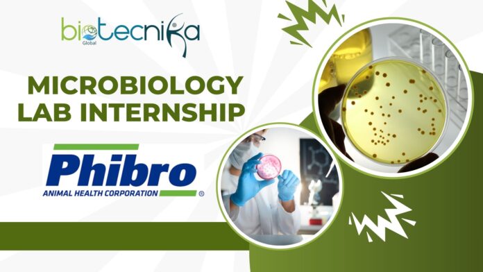 Microbiology Lab Internship at Phibro Animal Health