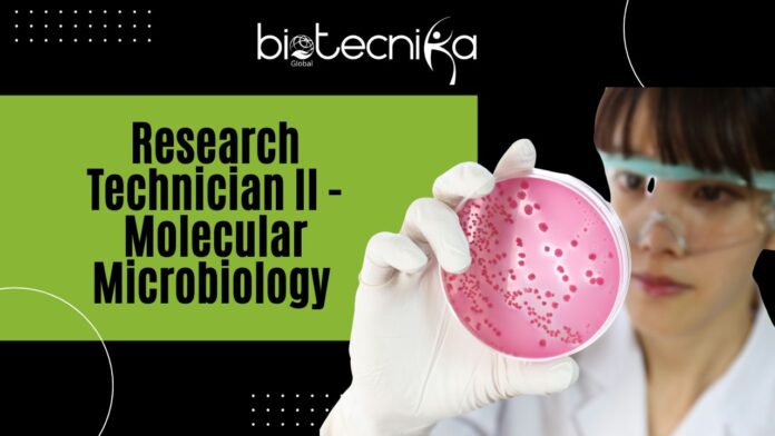 Research Technician II - Molecular Microbiology