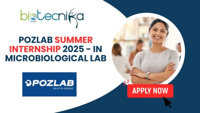 PozLab Summer Internship 2025
