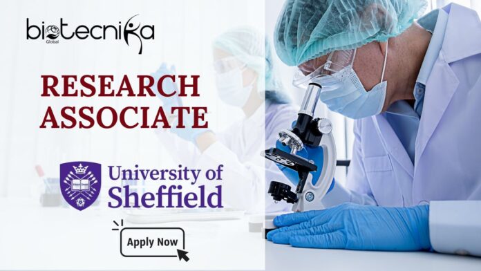 Research Associate Job at Sheffield | PhD holders in Population Genetics and Biosciences Apply Now!