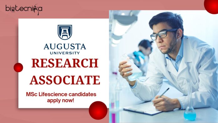 Research Associate at Augusta University, MSc Lifescience candidates apply now!