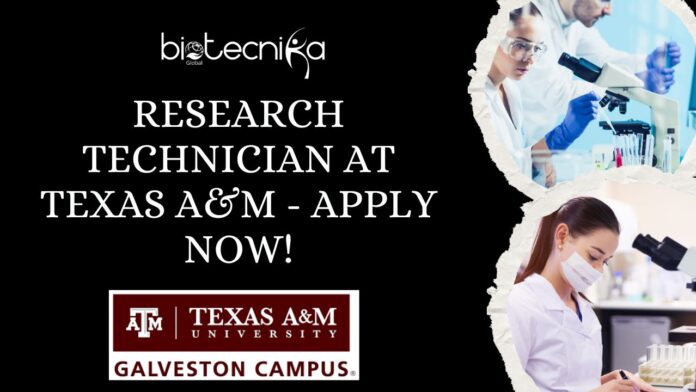 Research Technician at Texas A&M