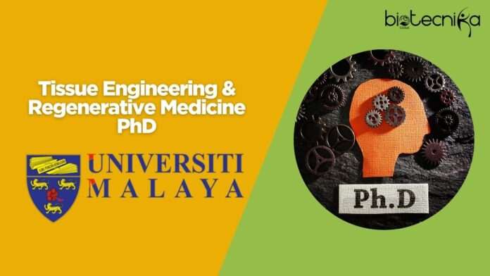 Tissue Engineering & Regenerative Medicine PhD