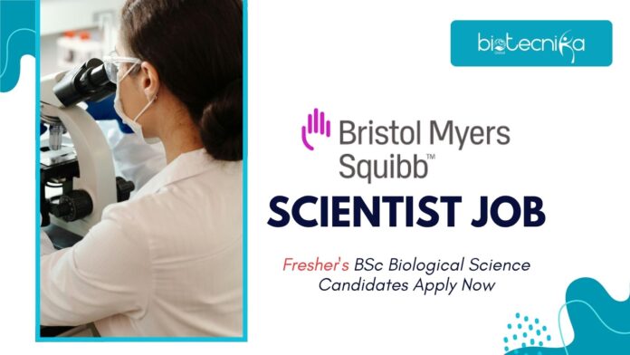 Scientist Job at Bristol Myers Squibb | Fresher's BSc Biological Science Candidates Apply Now