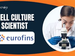 Cell Culture Scientist at Eurofins PSS Insourcing Solutions l BSc Biology Candidates Apply Now
