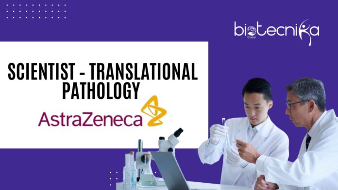 Scientist – Translational Pathology Job at AstraZeneca Oncology, Apply Online