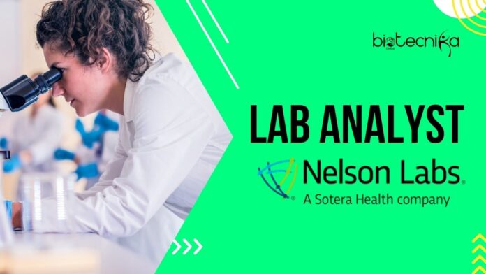 Lab Analyst Job at Nelson Labs – Fresher's BSc Life Science Candidates Apply Now