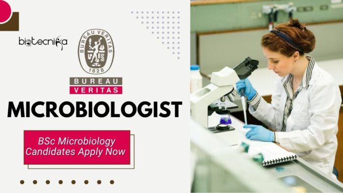 Microbiologist Job at Bureau Veritas Group, BSc Microbiology Candidates Apply Now
