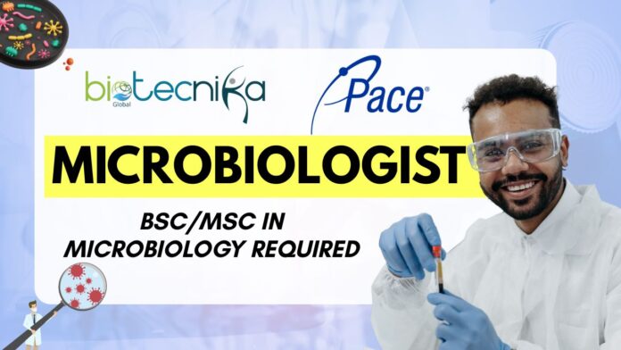 Microbiologist Job at Pace Life Sciences Salem NH BScMSc