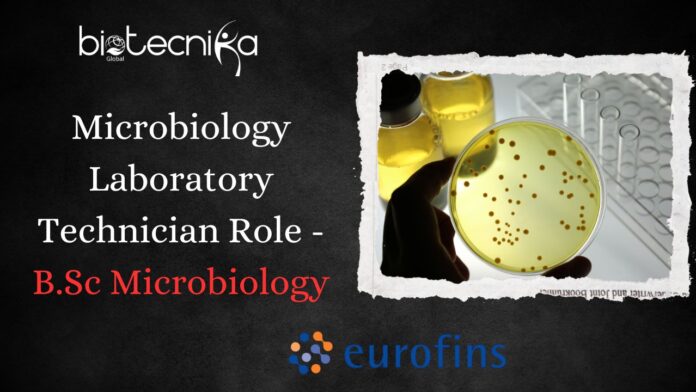 Microbiology Laboratory Technician Role