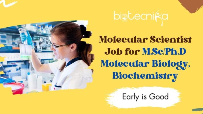 Molecular Scientist Job